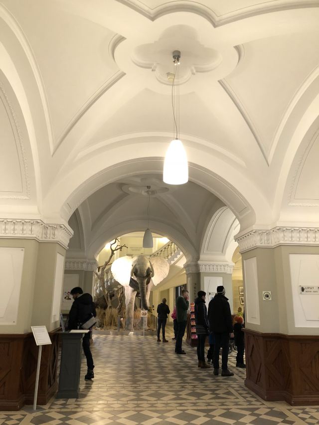 Finnish Museum of Natural History