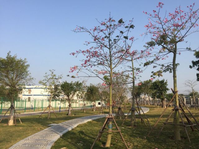 양톈산 국가삼림공원