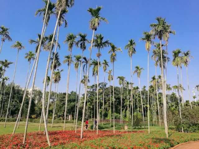 Jinniuling Park