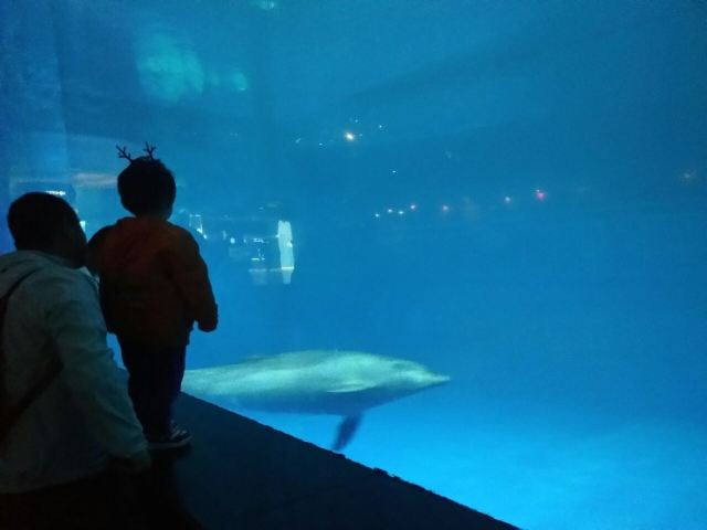 Qujiang Polar Ocean Park