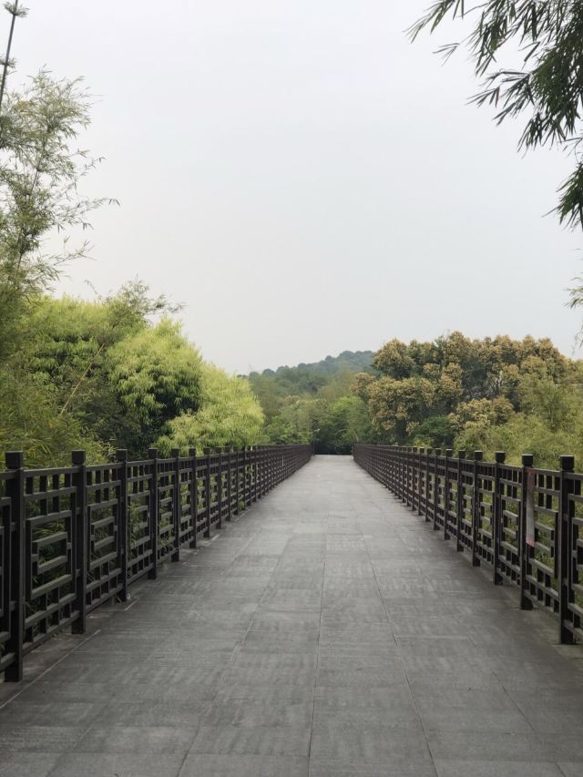 Overseas Chinese Town East