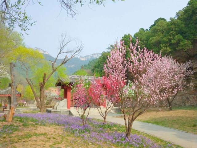 링옌사