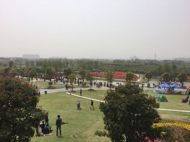 Zhoupu Sea of Flowers