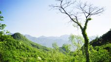 天龙池景区-鲁山-doris圈圈