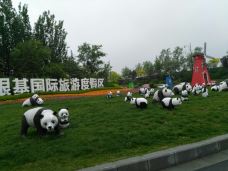 新密-白川乡公子纠