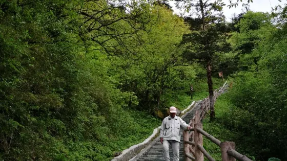 七裏坡