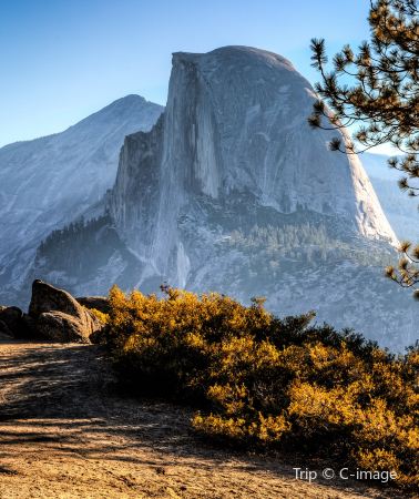 2D1N • Yosemite National Park