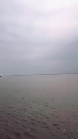 临海的海不是海是黄河哈哈哈