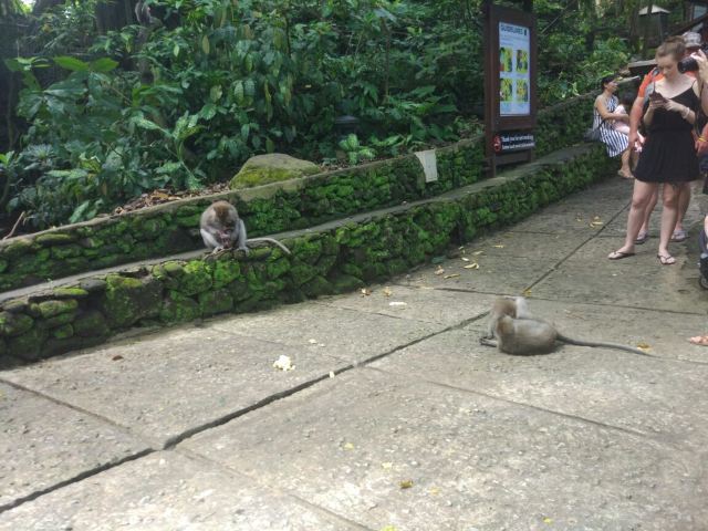 Ubud Monkey Forest