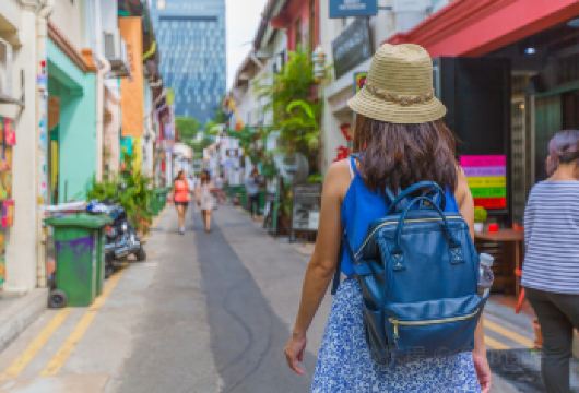 新加坡小印度+赞美广场+旧禧街警察局+-鱼尾狮【中文司机】【体验当地深度游览，不再千篇一律 时间自由搭配组合，一日半日随心所欲，想怎么游你说了算！ 当地中文司机】