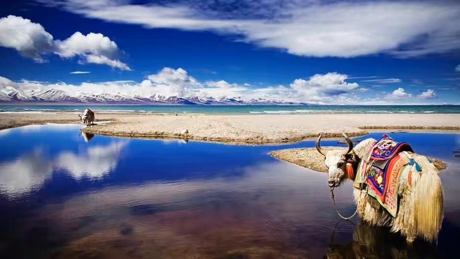一个人的旅行—徒步西藏