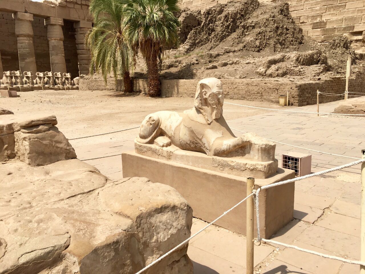 埃及，你好！（7）卢克索神庙遗址