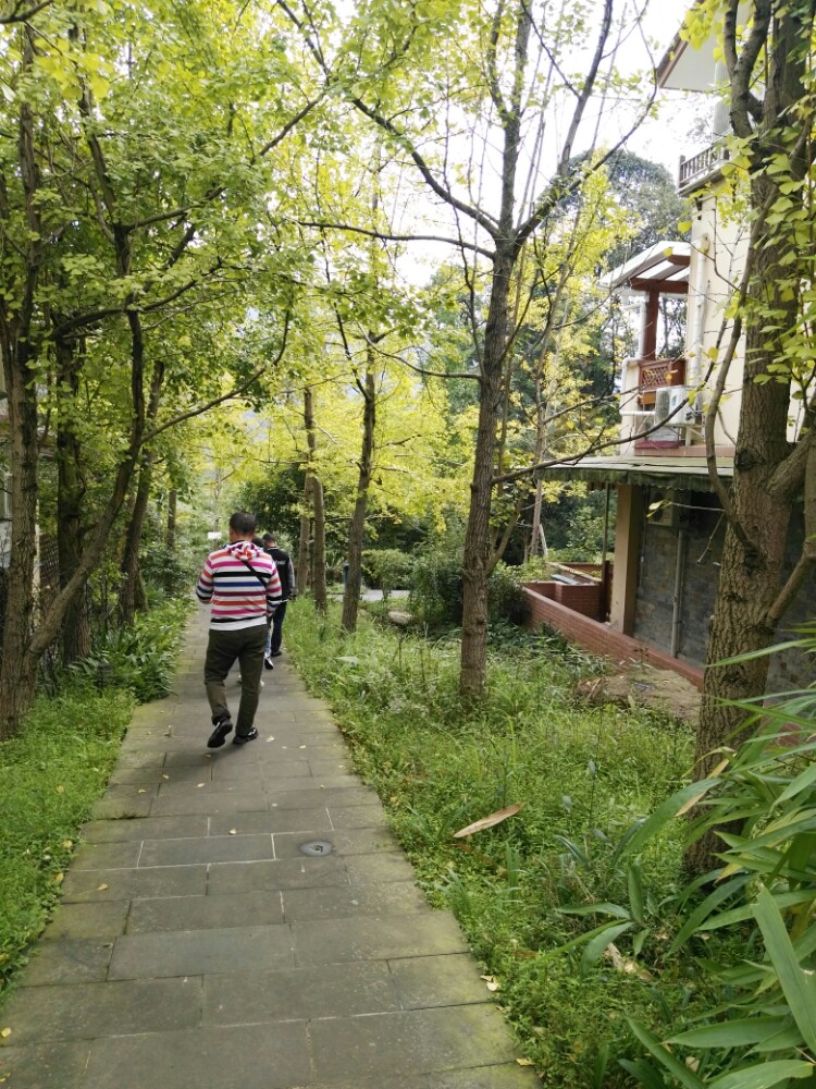 一方天地，小院、菜地、阳台……