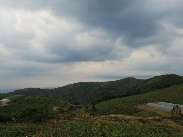 고로산
