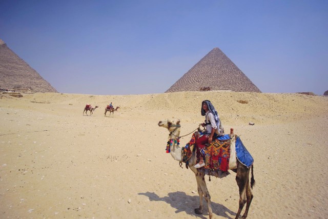 骑着骆驼去埃及胡夫金字塔