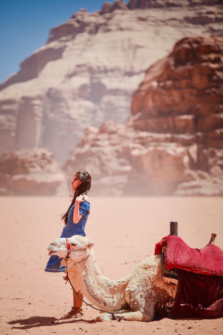 #主题交通# 在约旦骑着骆驼，穿越阳光亲吻的沙漠
