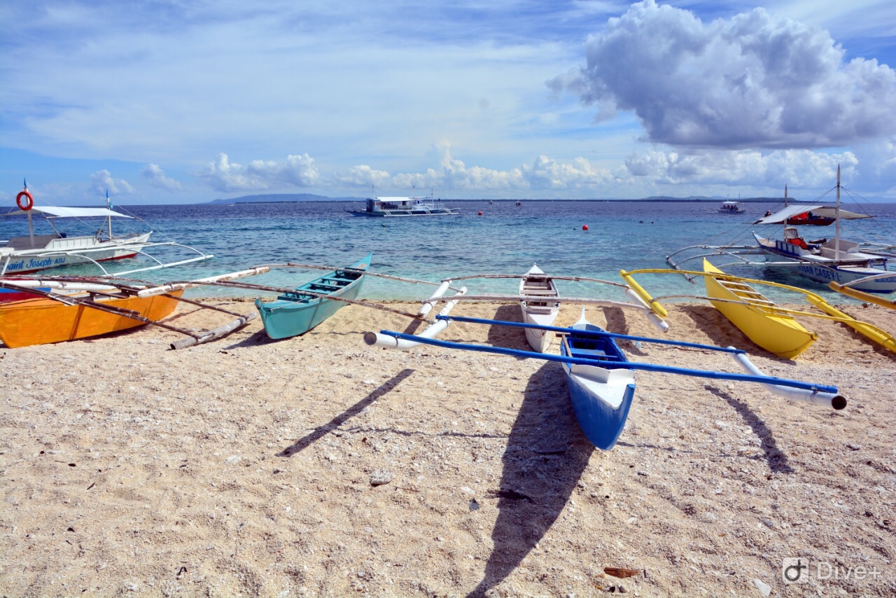 #网红打卡地#去菲律宾薄荷岛看不一样蓝的海 薄荷岛又名保和岛（Bohol），位于菲律宾中南部，地处中