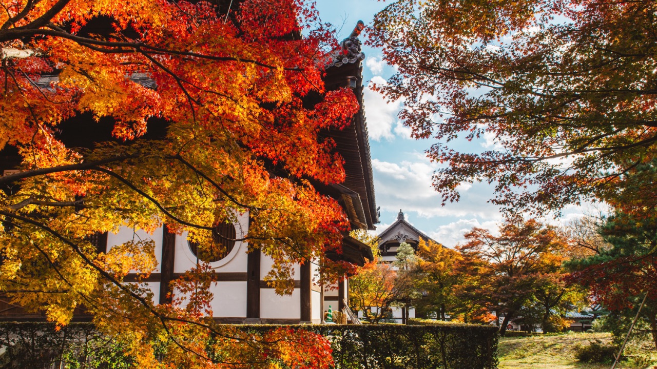 京都赏枫，首选东福寺