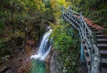 箬寮原始林景点图片