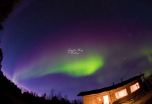 Restaurant Aurora美食图片