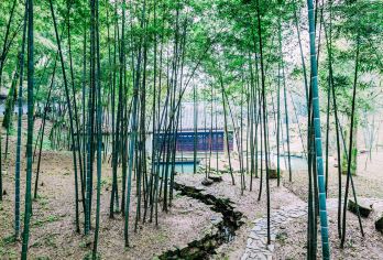 湖南博物院+橘子洲+岳麓山一日游【韵味长沙-美食打卡-散拼团【安排百年老店-坡子街[火宫殿总店]，品尝湖湘特色小吃，饕餮美食让您流连忘返】