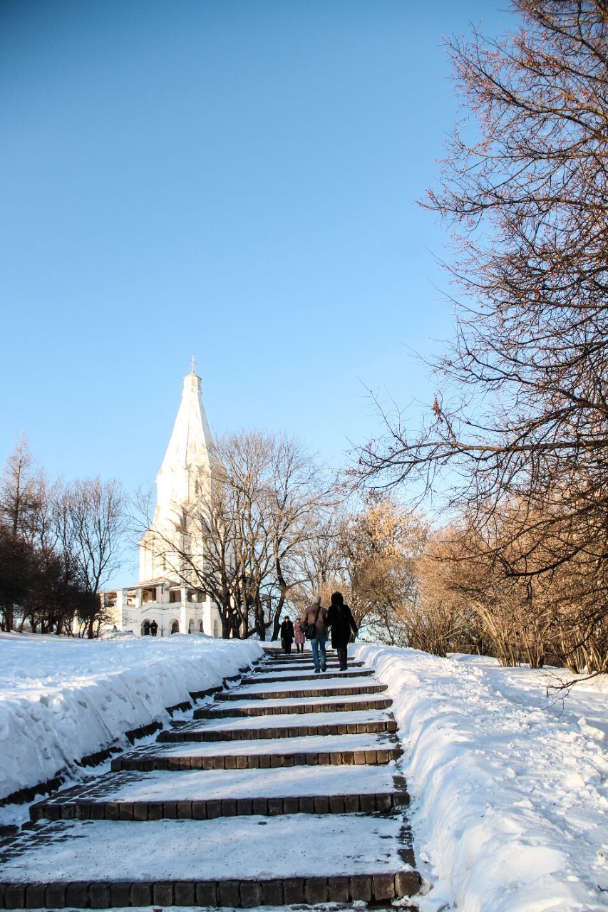冬日阳光明媚，俄罗斯庄园里的纯净世界#向往的生活#