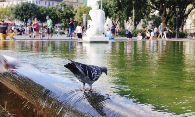 Plaça de Catalunya