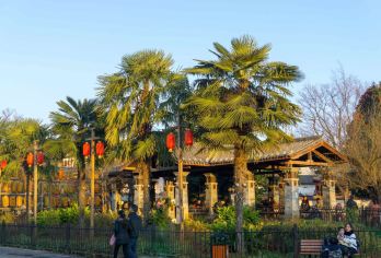 昆明出发：石林风景区+官渡古镇+斗南花市一日游【私家团】【私家小团丨小众玩法丨纯玩无购丨独立包车丨行程可调丨随停随走丨时间自由丨上门接送】