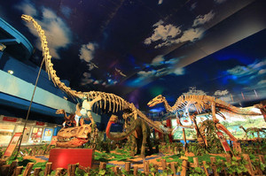 诸城游记图文-中国最具特色魅力的“恐龙之旅”