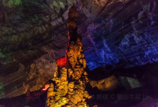 芙蓉洞+芙蓉江一日游【2-6人小团丨上门接送丨纯玩无购物】【[品质亮点]：含门票，您不操心繁琐的排队购票事情及等待苦恼，旅游管家为您操办一切，没有后顾之忧。】