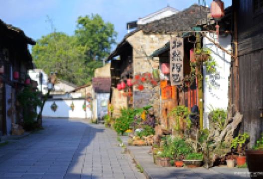 大港头村景点图片