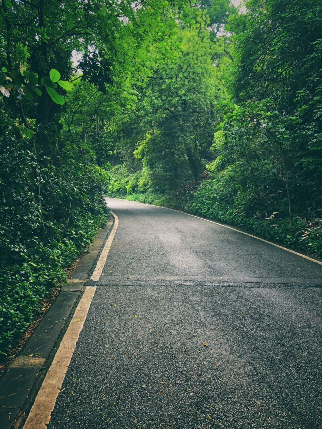 Baiyun Mountain