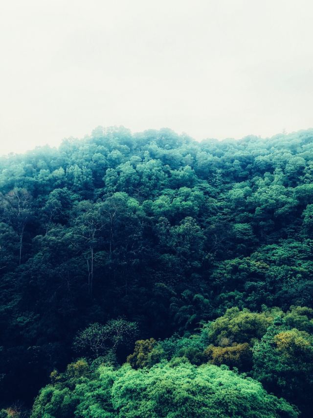 Baiyun Mountain