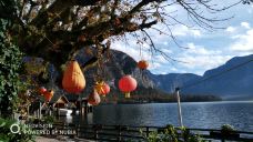 哈尔施塔特湖-哈尔施塔特-曲美他琴