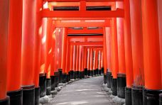 伏见稻荷大社-京都-C-IMAGE