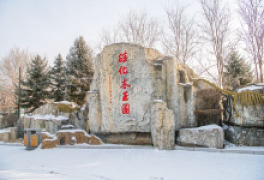 硅化木王国景点图片