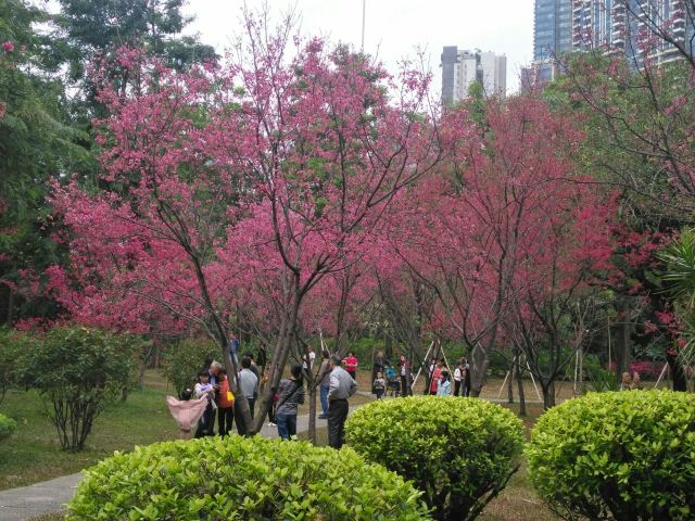 Zhujiang Park