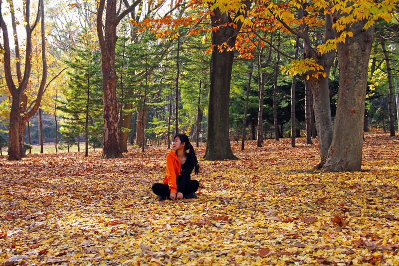 北海道の秋日慢生活 六天五夜 慢游札幌 Amp 小樽 小樽游记攻略 携程攻略