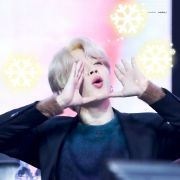 爱晒太阳的猫的世界