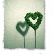 嘻嘻哈哈快乐的游呀