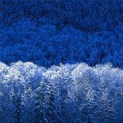 我要单反你送我