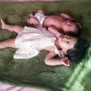 煮熟也会飞的黑鸭子