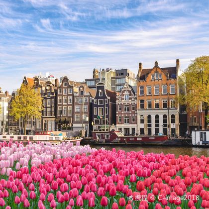 荷兰+阿姆斯特丹+库肯霍夫公园+水坝广场+羊角村+阿姆斯特丹运河一日游