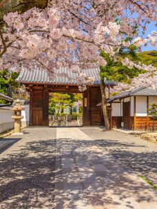 京都御所-京都-1