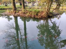 杭州西湖风景名胜区杭州花圃-杭州-琉璃明月心