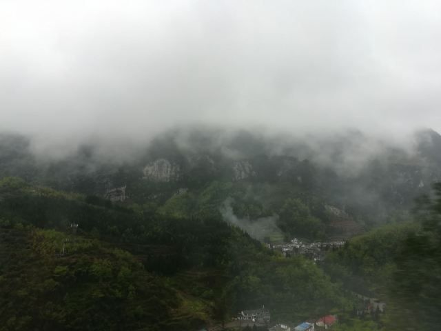 崛围山旅行图片 4