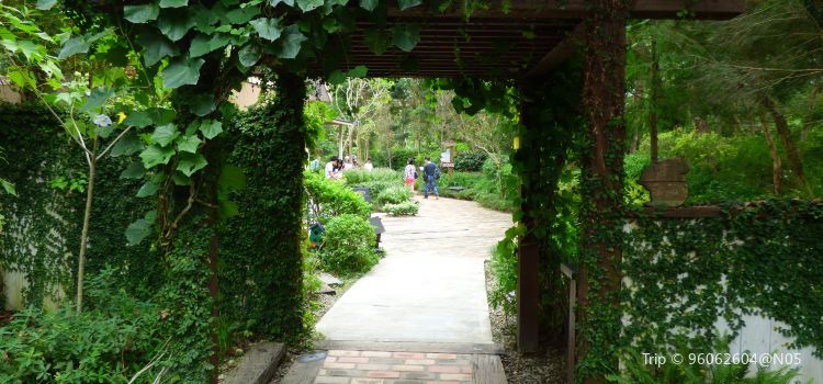 Lavender Cottage Travel Guidebook Must Visit Attractions In