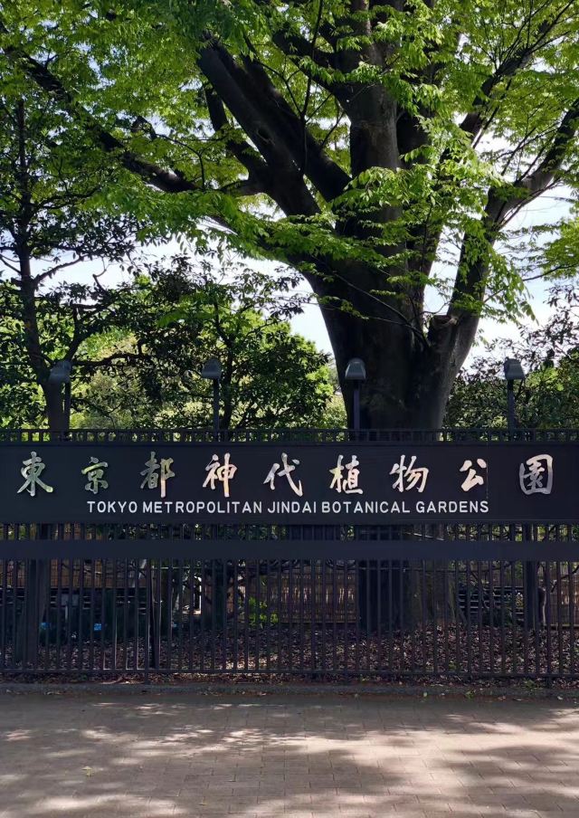 调布市神代植物公园游玩攻略简介 调布市神代植物公园门票 地址 图片 开放时间 照片 门票价格 携程攻略 调布市神代植物公园游玩攻略简介 调布市神代植物公园门票 地址 图片 开放时间 照片 门票价格 携程攻略