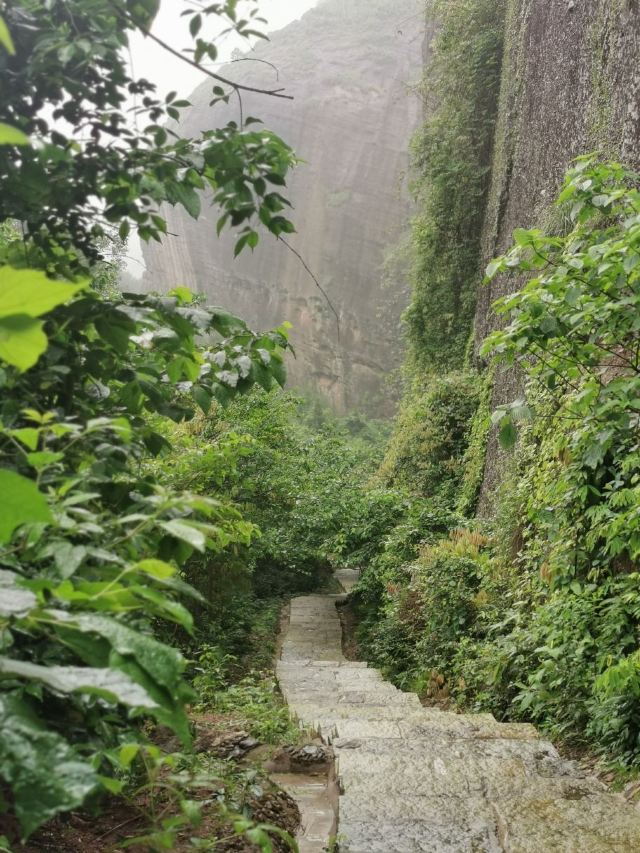 青龙岩风景区旅行图片 4