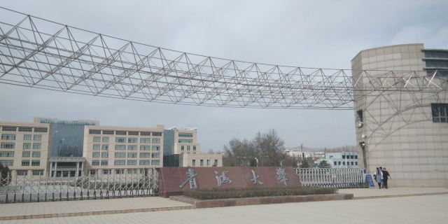 青海大学-党员活动公园旅行图片 6